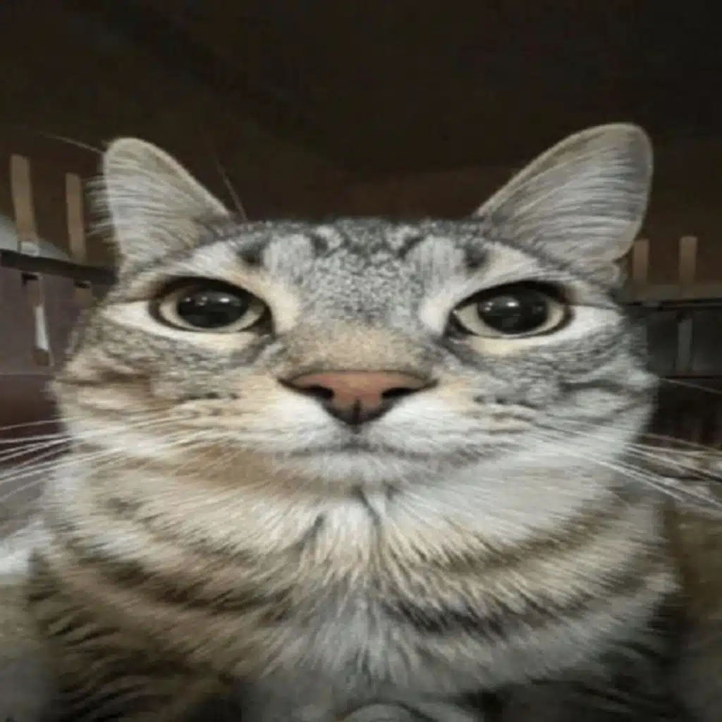 please do not listen to this song