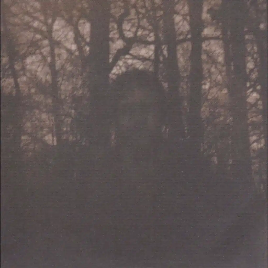 A Year Of The Aural Gauge Operation