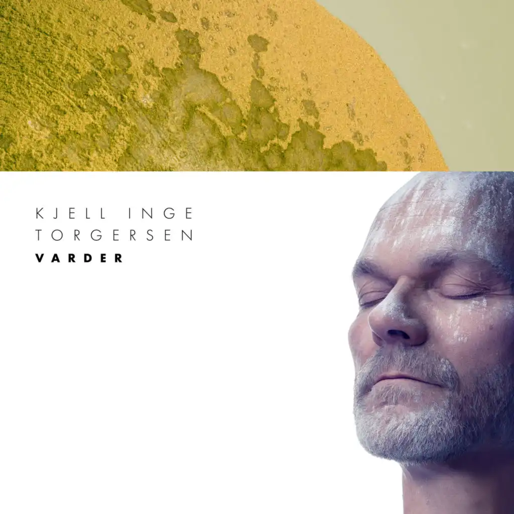 Kjell Inge Torgersen