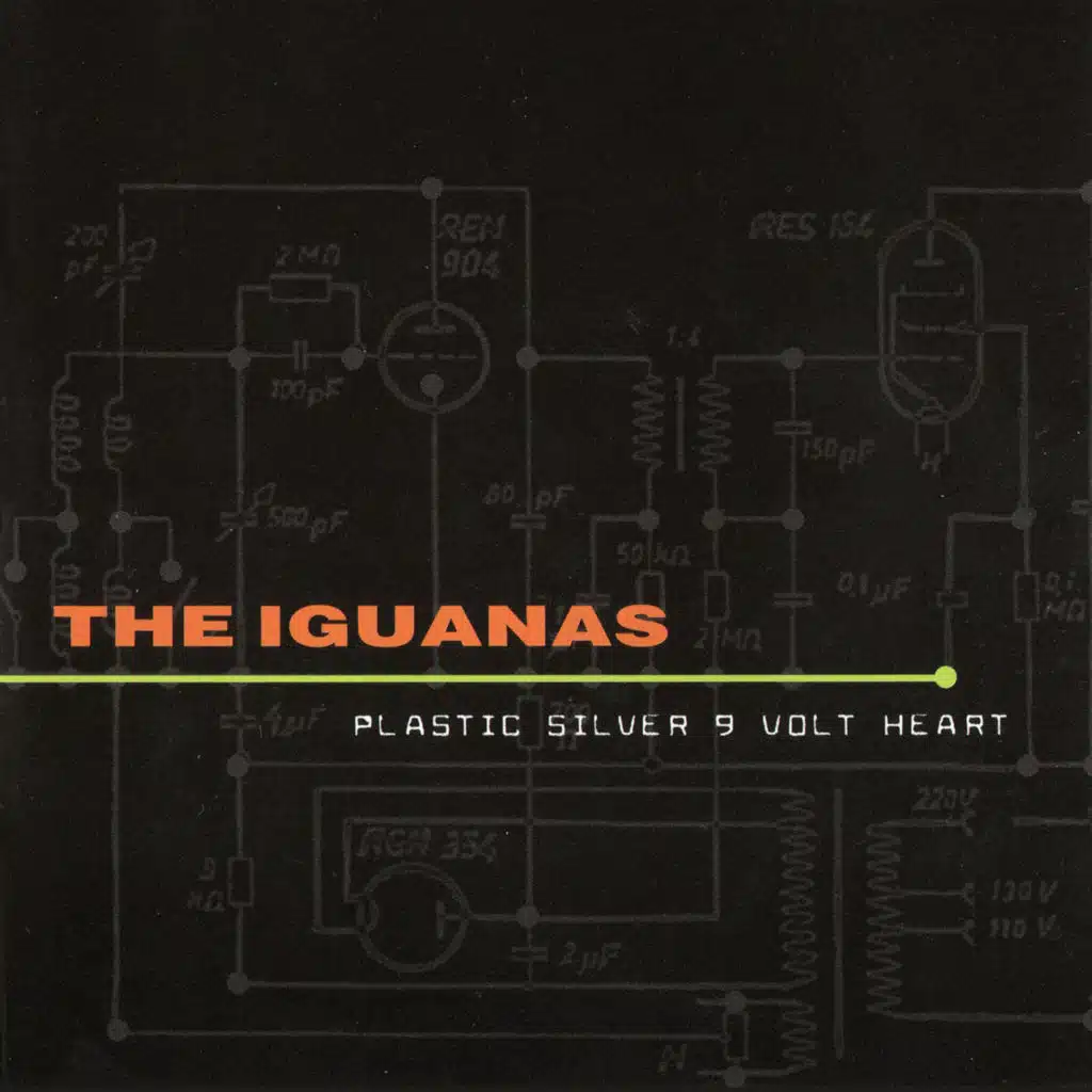 Plastic Silver 9 Volt Heart