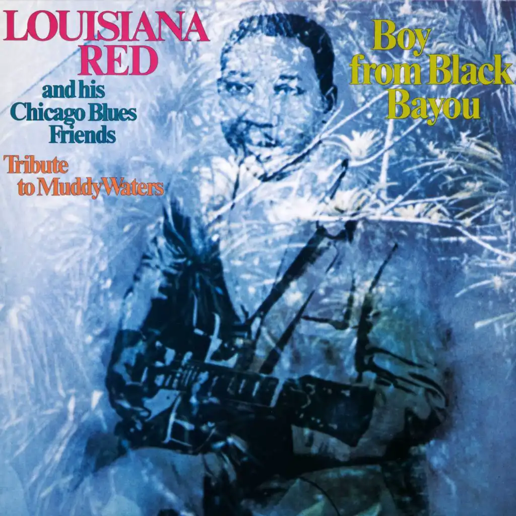 Boy from Black Bayou (Bonus Track / Live - American Folk Blues Festival 1983)