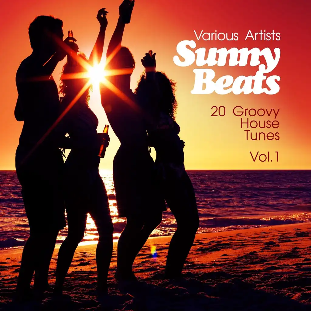 Sunny Beats (20 Groovy House Tunes), Vol. 1