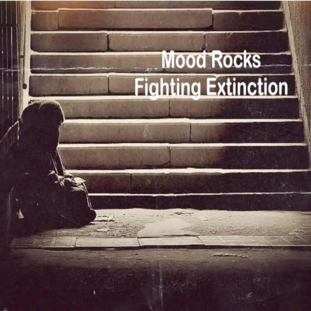 Mood Rocks