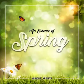 The Four Seasons, Op. 8, Concerto No. 1 in E Major, RV 269 "Spring": I. Allegro