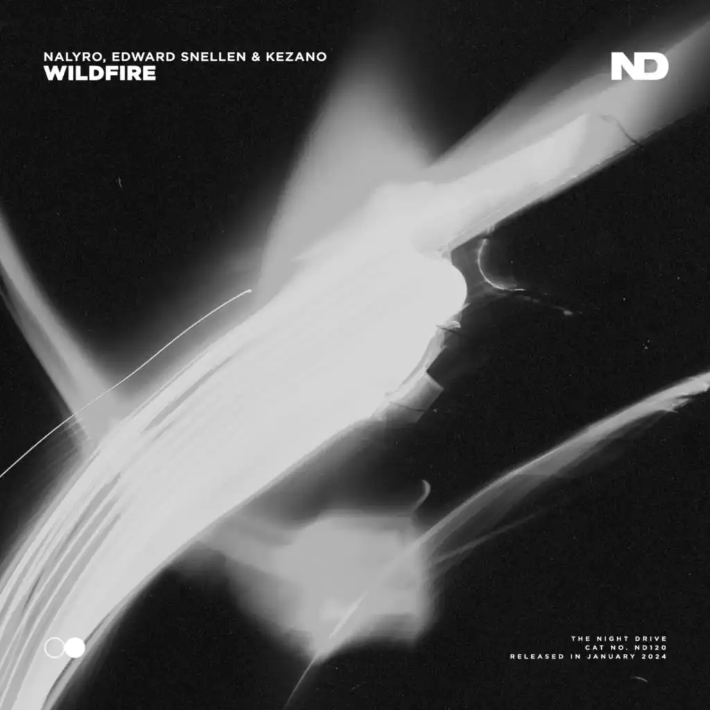 Wildfire (Extended Mix)