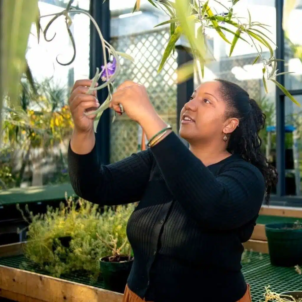 Congrats! It's A Tomato