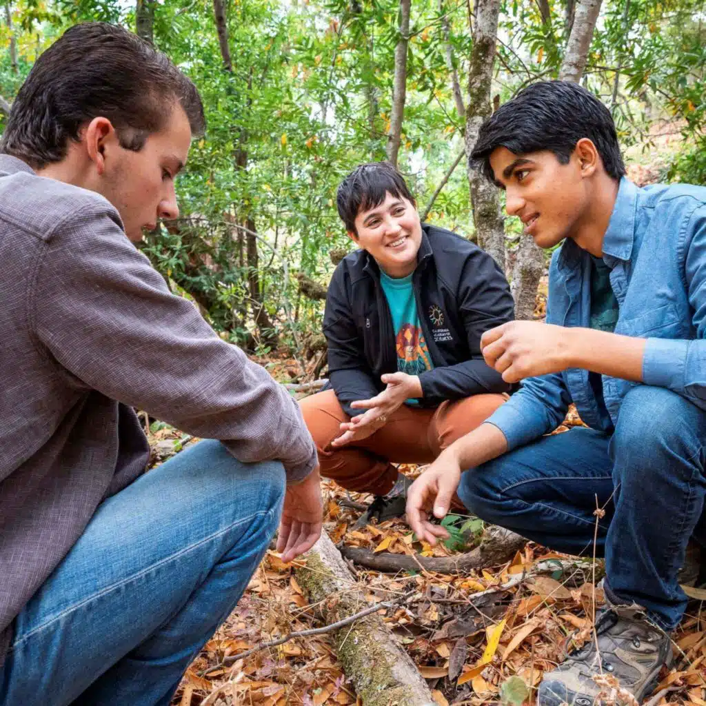 The Scorpion Renaissance Has Arrived