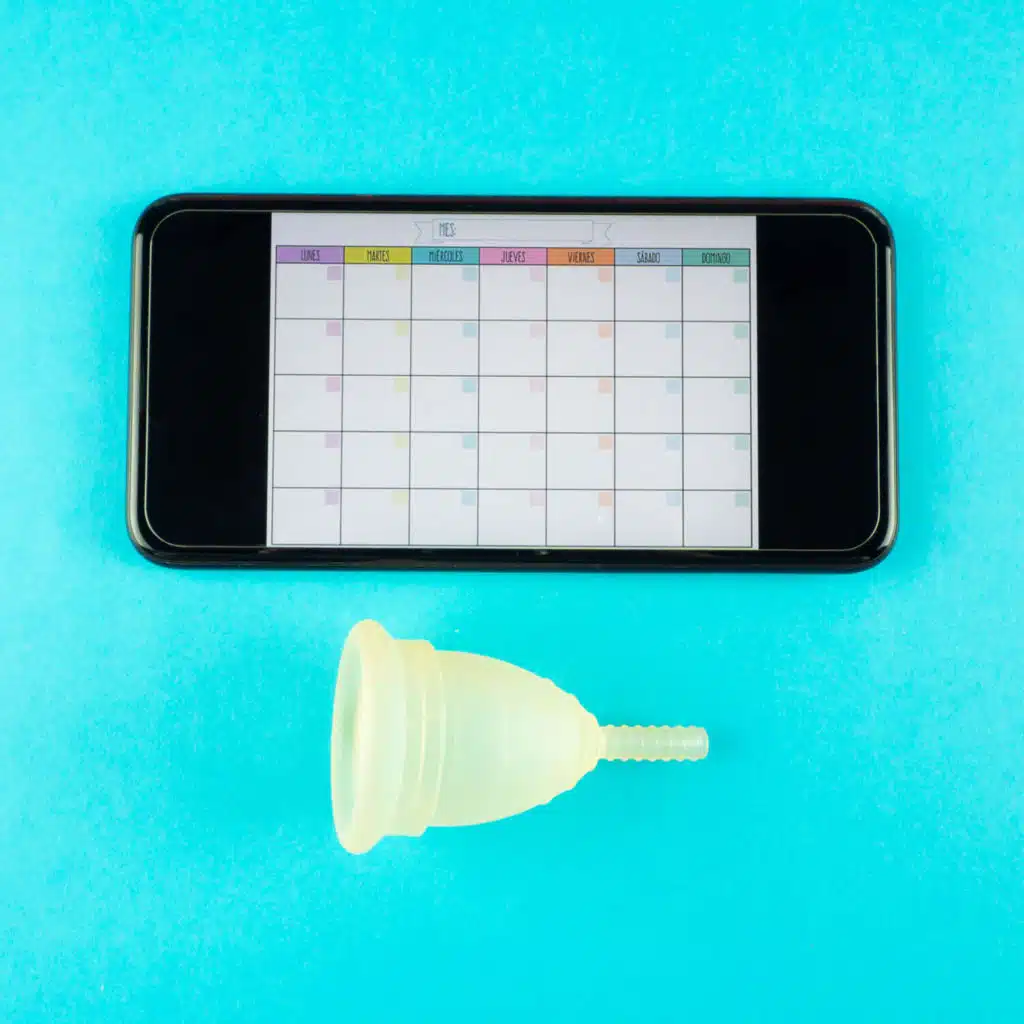 When Tracking Your Period Lets Companies Track You