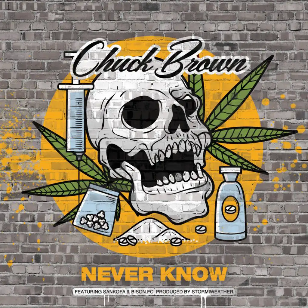 Never Know (feat. Sankofa & BISON.FC)