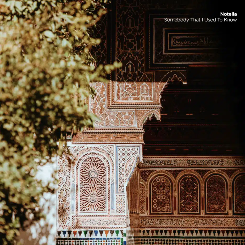 Somebody That I Used To Know