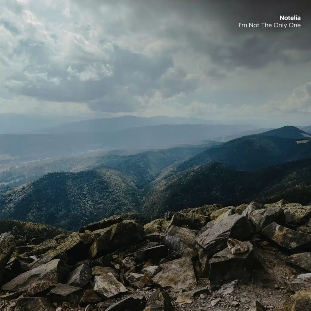 I'm Not The Only One