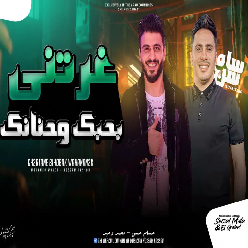 حسام حسن ومحمد وحيد