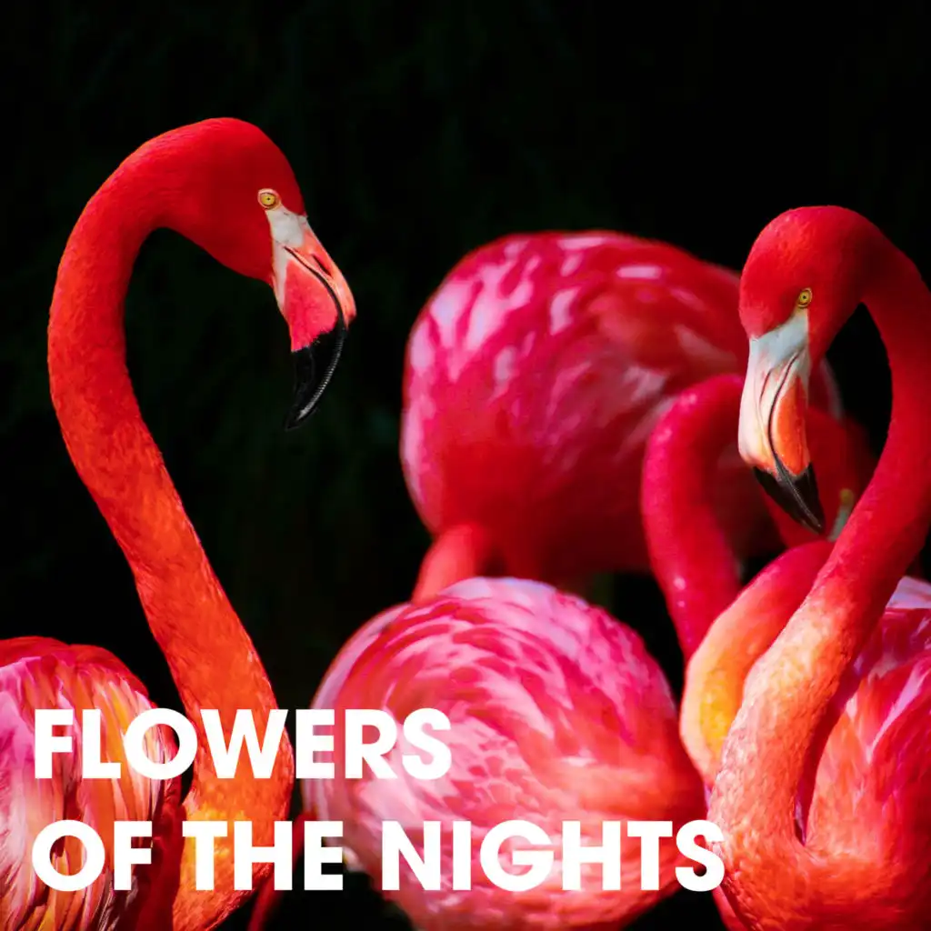 Flowers of the Nights