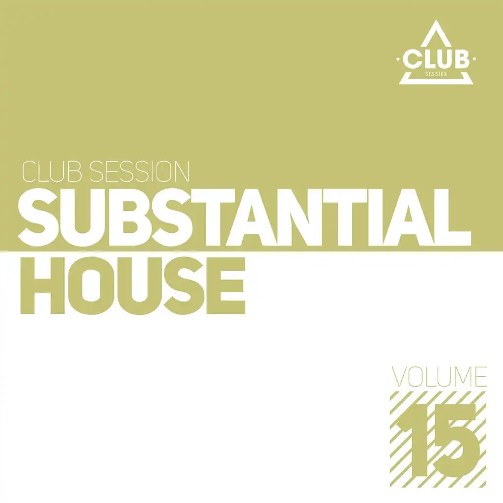 Substantial House, Vol. 15