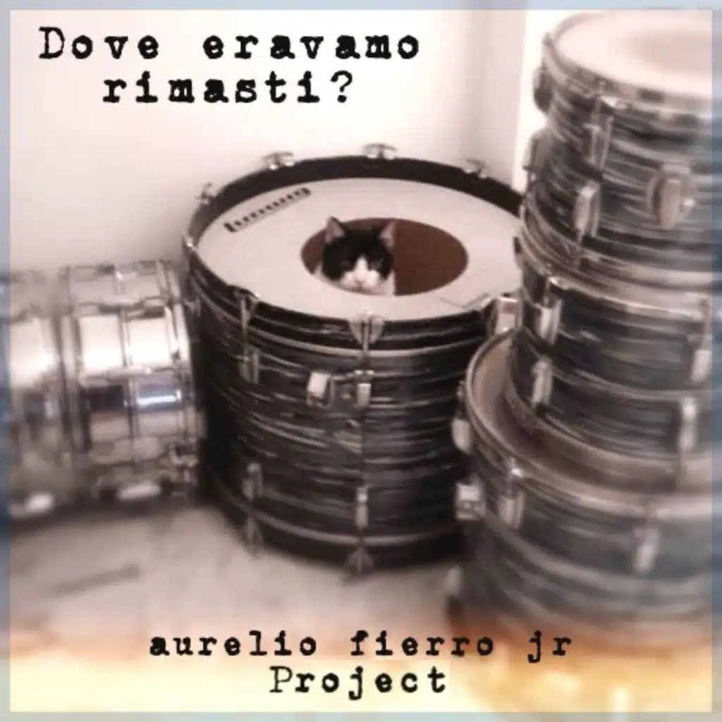 Aurelio Fierro Jr. Project