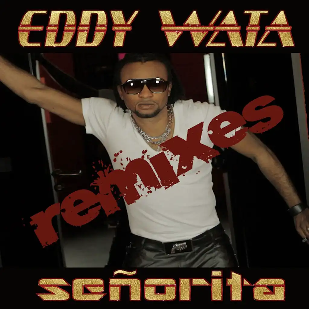 Señorita (Dan D-Noy Remix)