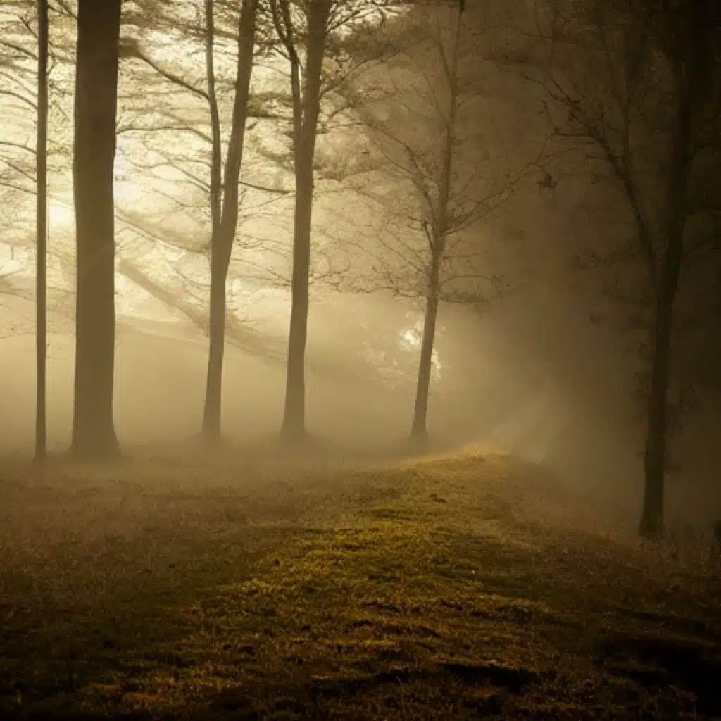 Bygone Dave, The 'Over & Odette Rose