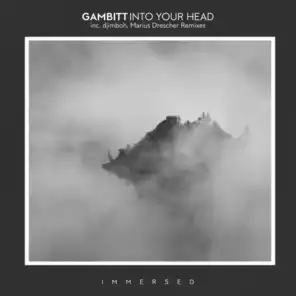 Into Your Head (djimboh Remix)