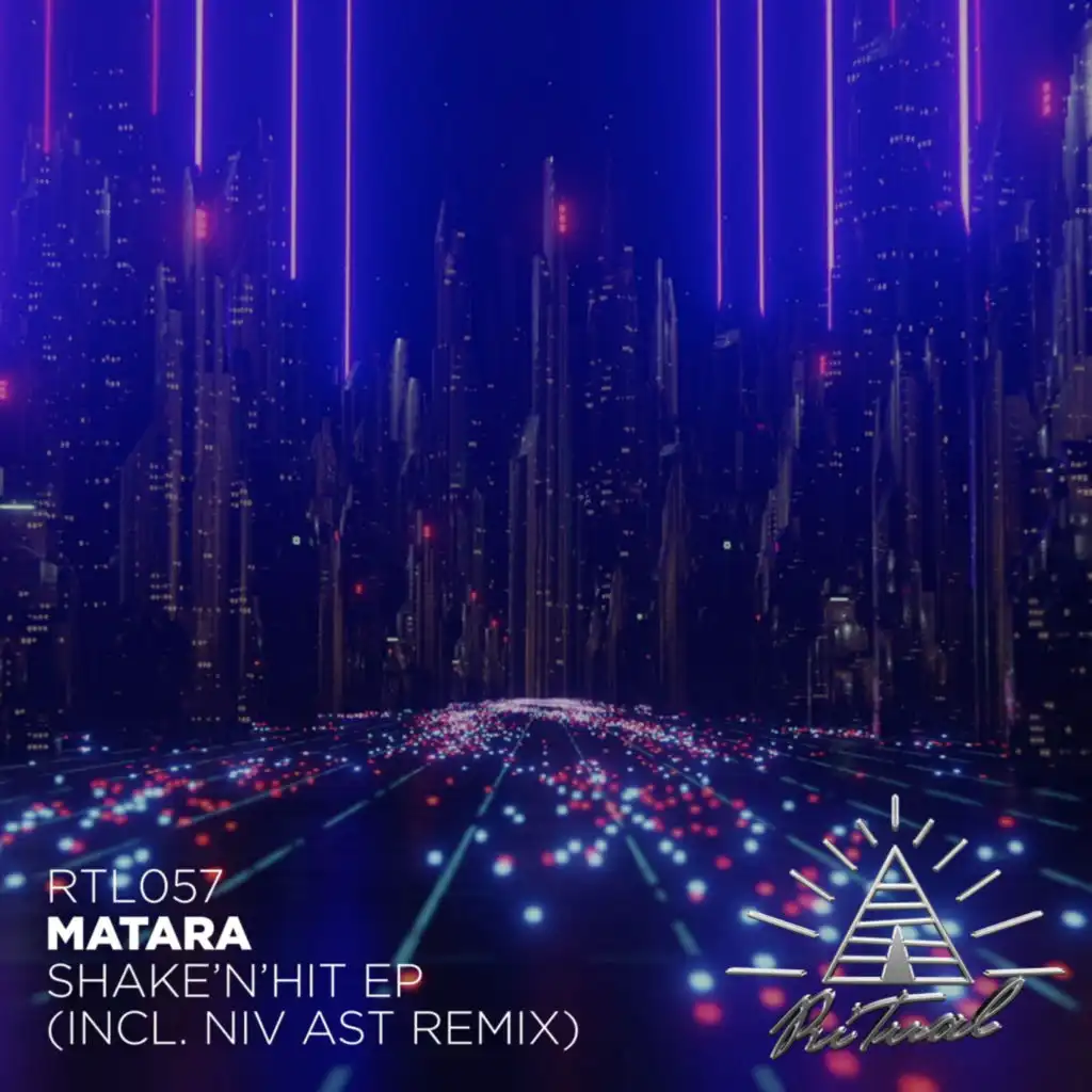 Shake'n'hit (Niv Ast Remix)