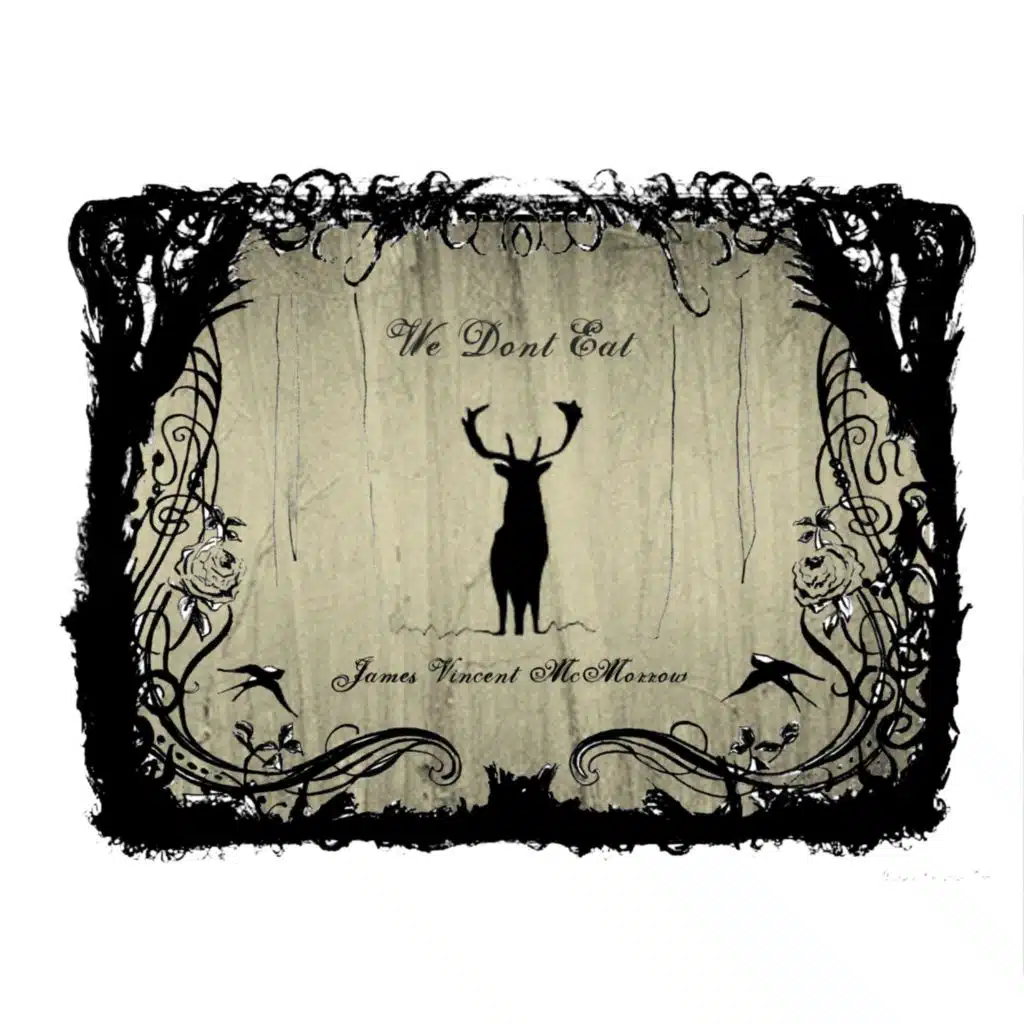 We Don't Eat (Live at Killkenny Arts Festival, Ireland, 2011)