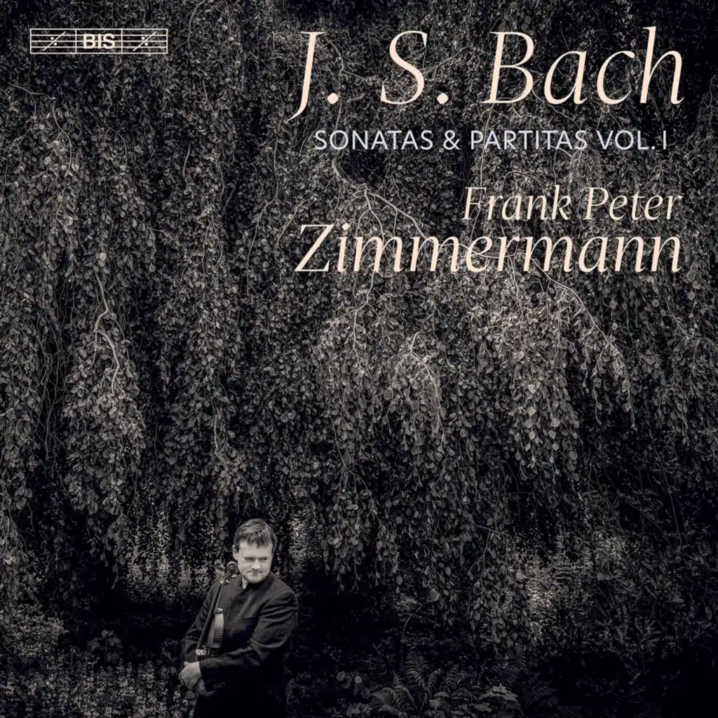 Violin Partita No. 2 in D Minor, BWV 1004: I. Allemande