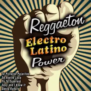 Reggaeton Electro Latino Power