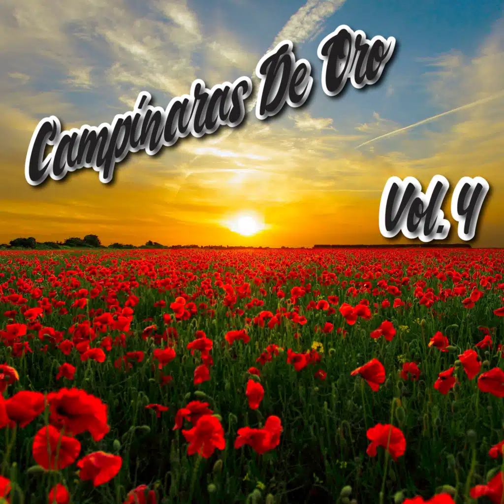 Campinaras De Oro, Vol. 4