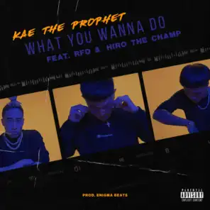 What You Wanna Do (feat. Hiro the Champ & RFD)