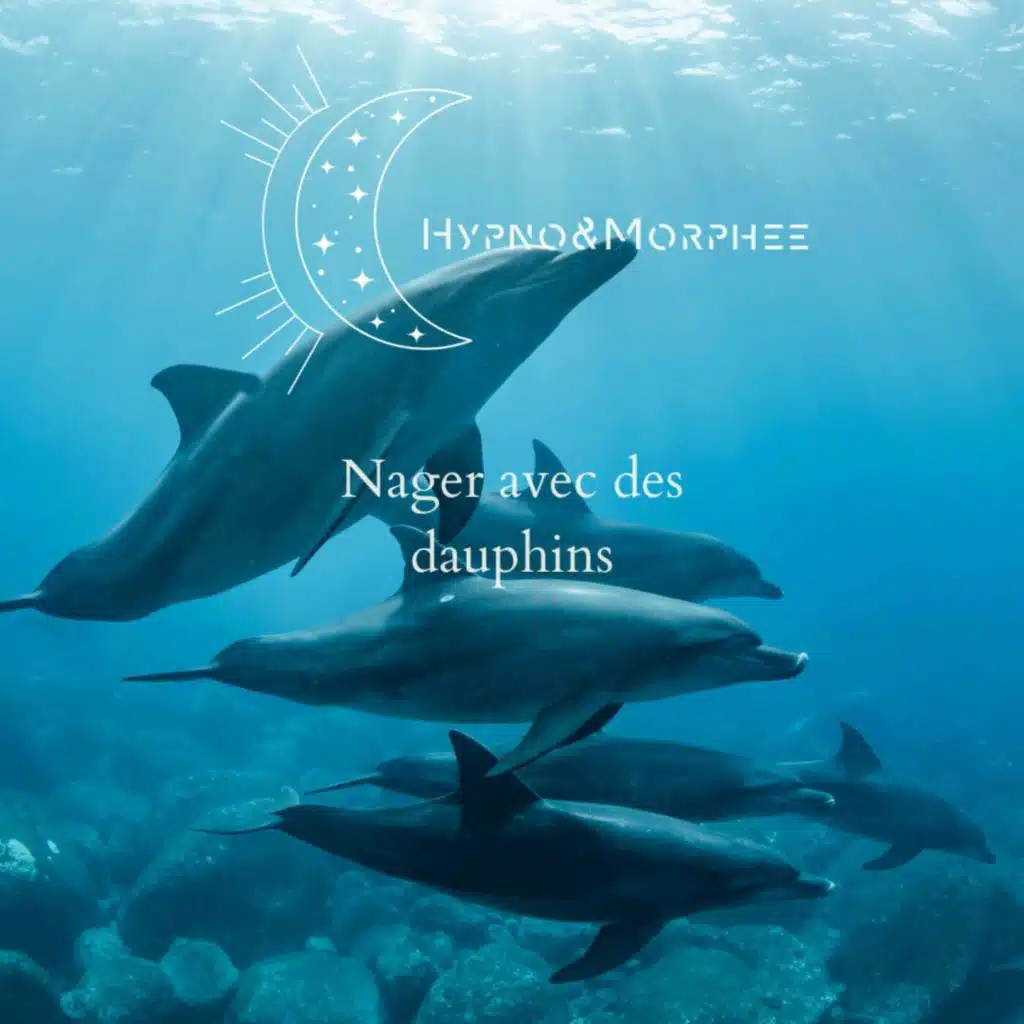 Rêve aquatique : Nagez avec des dauphins pour mieux dormir