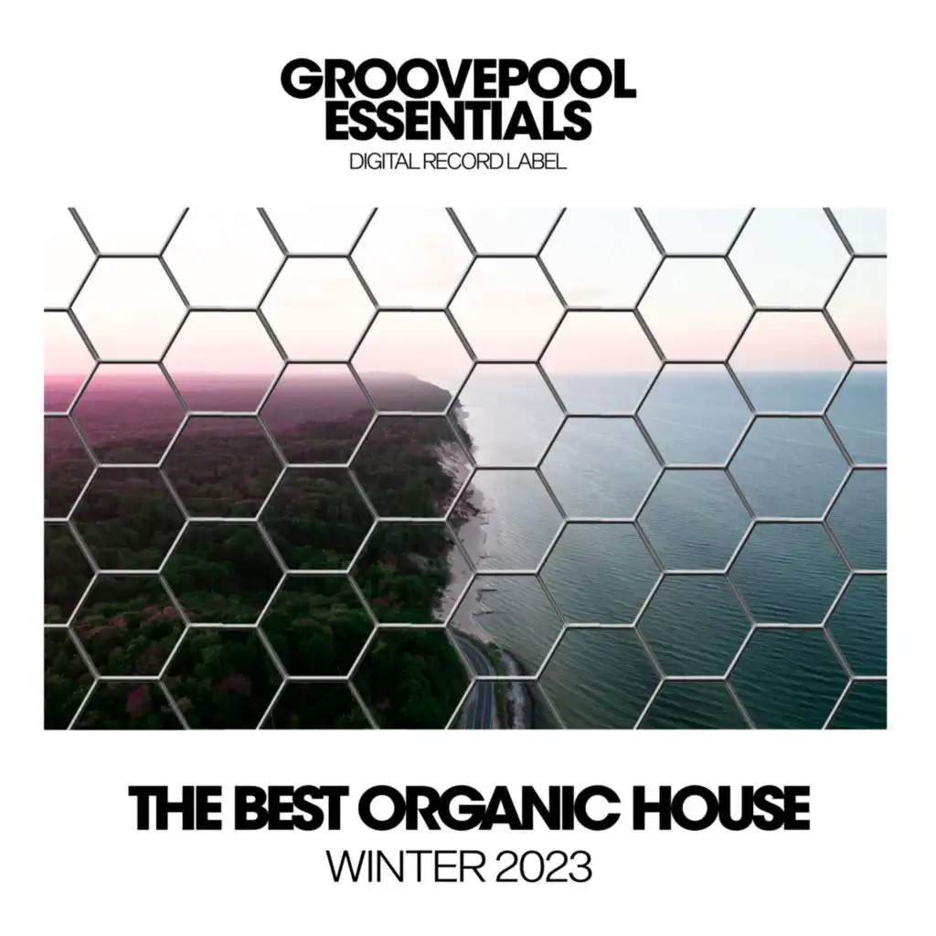 The Best Organic House 2023
