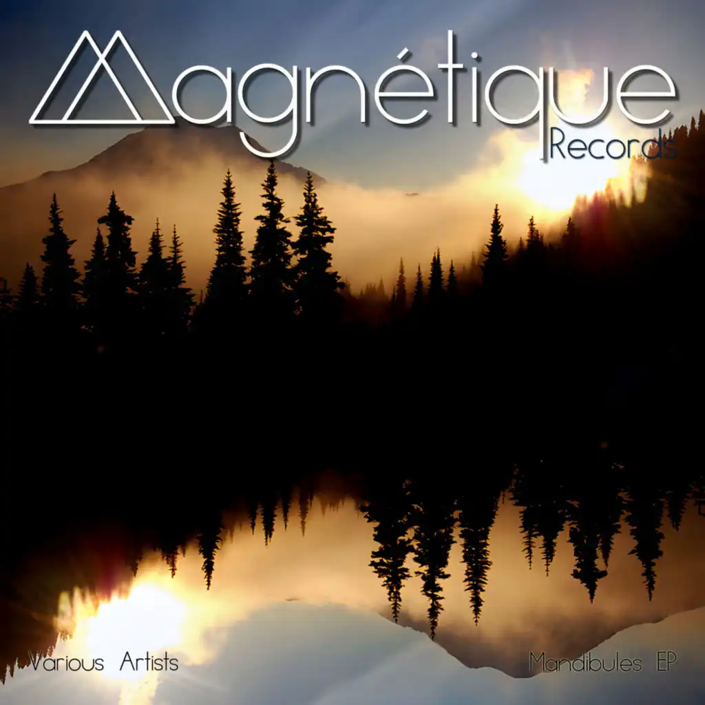 Body Collector (Johnny Aemkel remix)