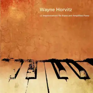 Wayne Horvitz