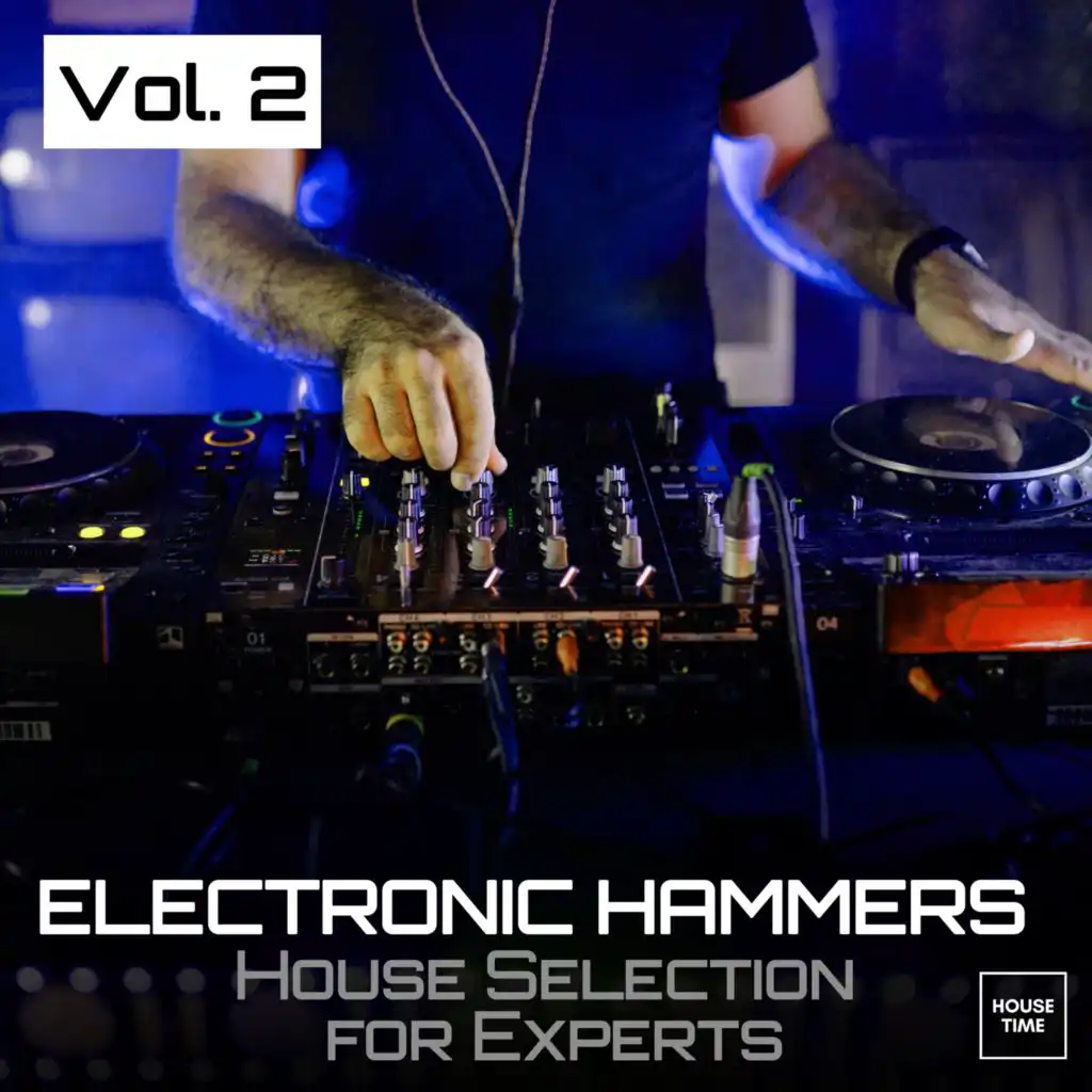Electronic Hammers, Vol. 2 (House Selection for Experts)