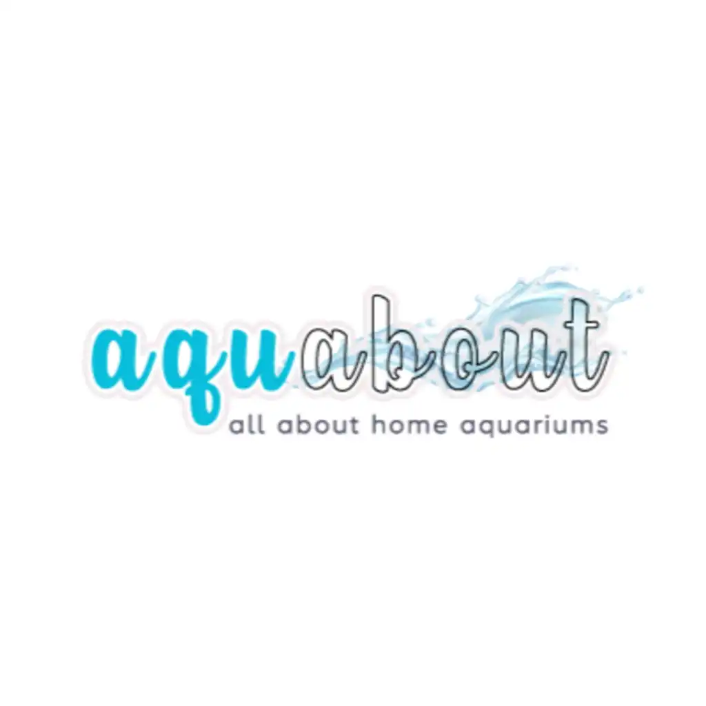 AQUABOUT.COM - BỂ CÁ CỦA BẠN, THẾ GIỚI CỦA BẠN