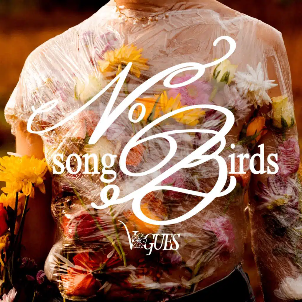 No Songbirds