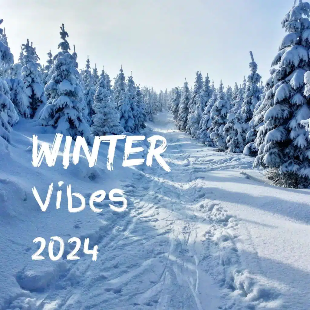 Winter Vibes 2024