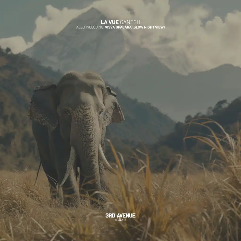Viśva Upacāra (Slow Night View)