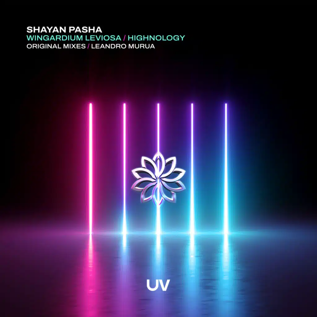 Wingardium Leviosa (Extended Mix)