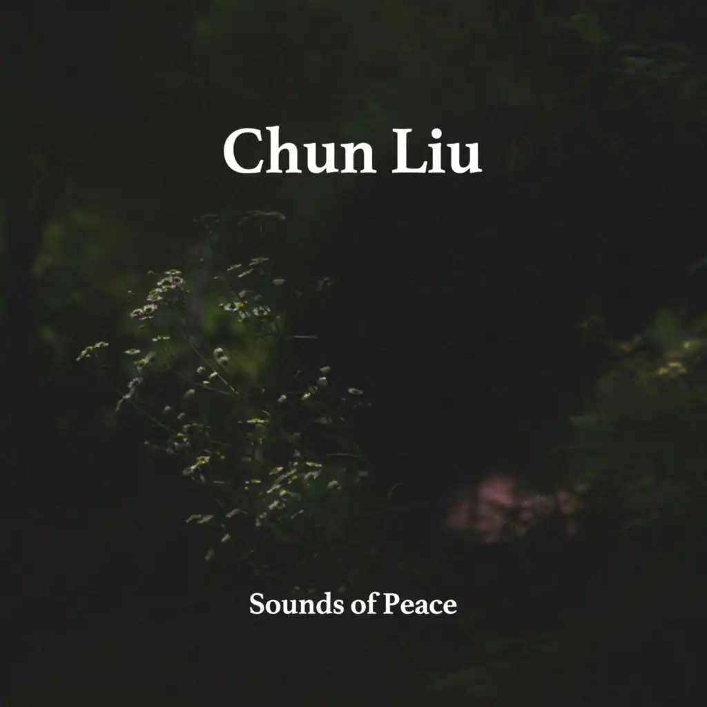 Sounds of Peace