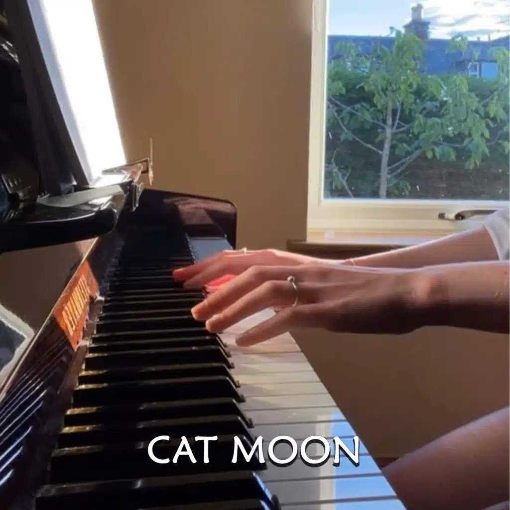 Cat Moon