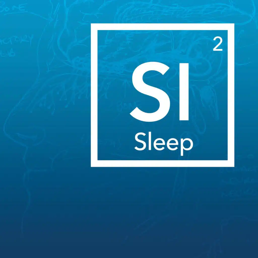 Master Your Sleep & Be More Alert When Awake