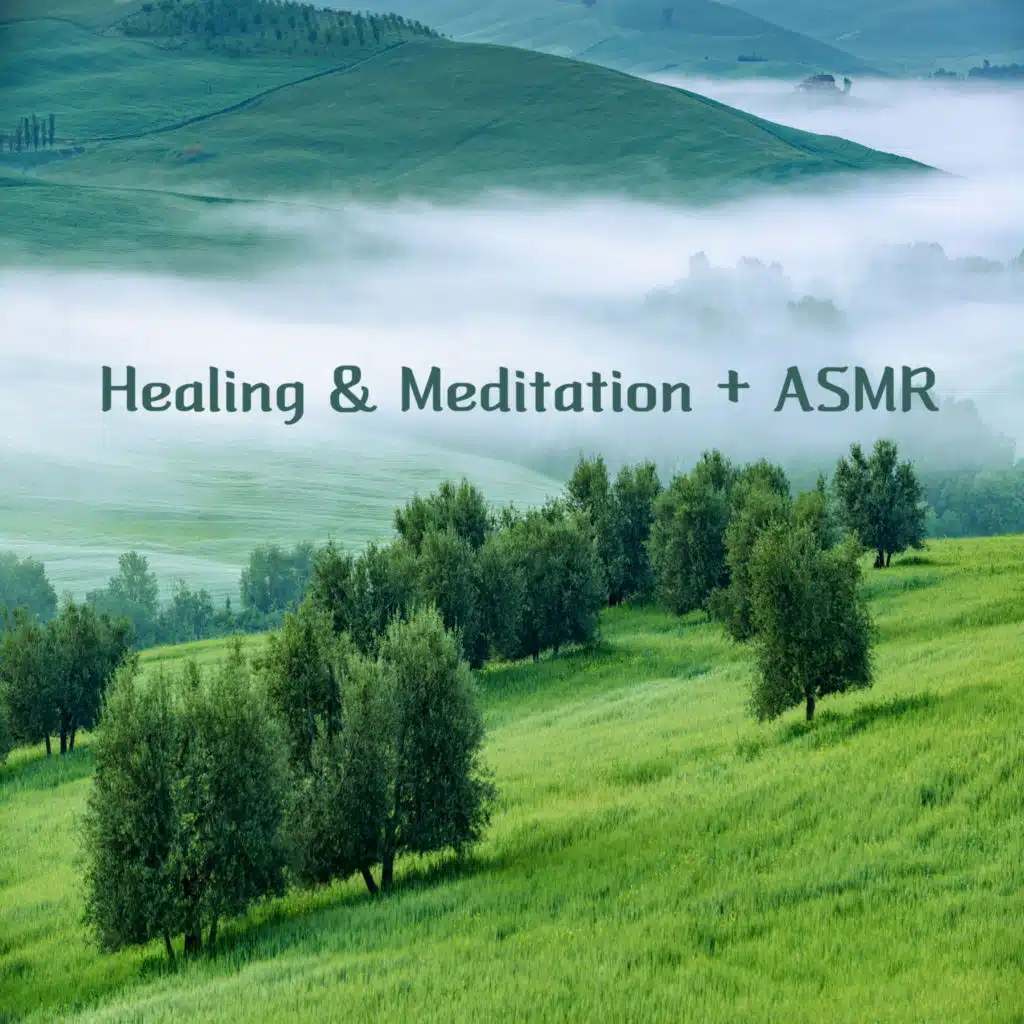 고요한 숲속의 마음챙김 음악