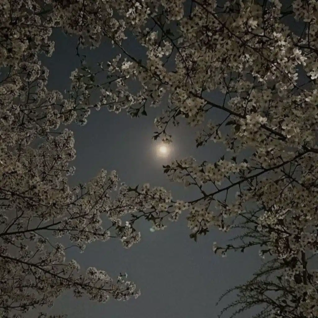 ميكس حزين تامر عاشور