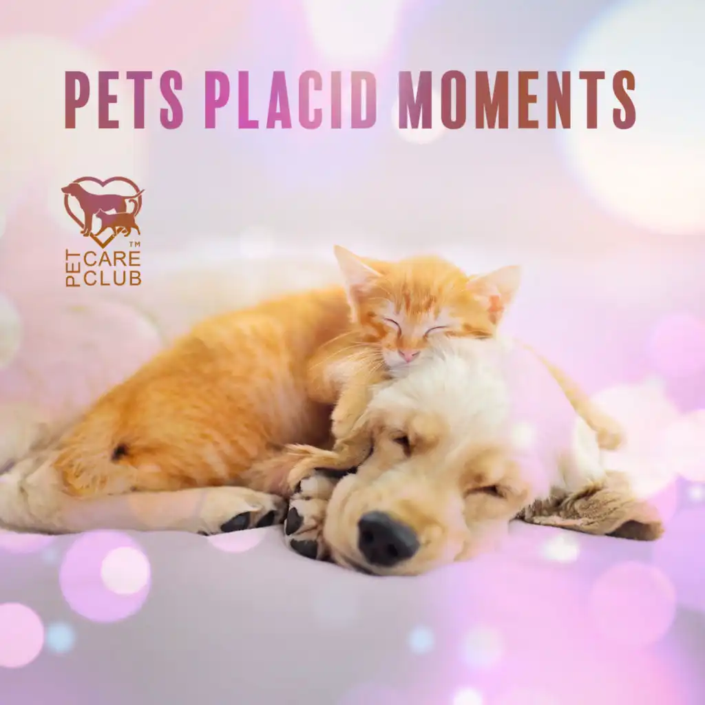 Pets Placid Moments