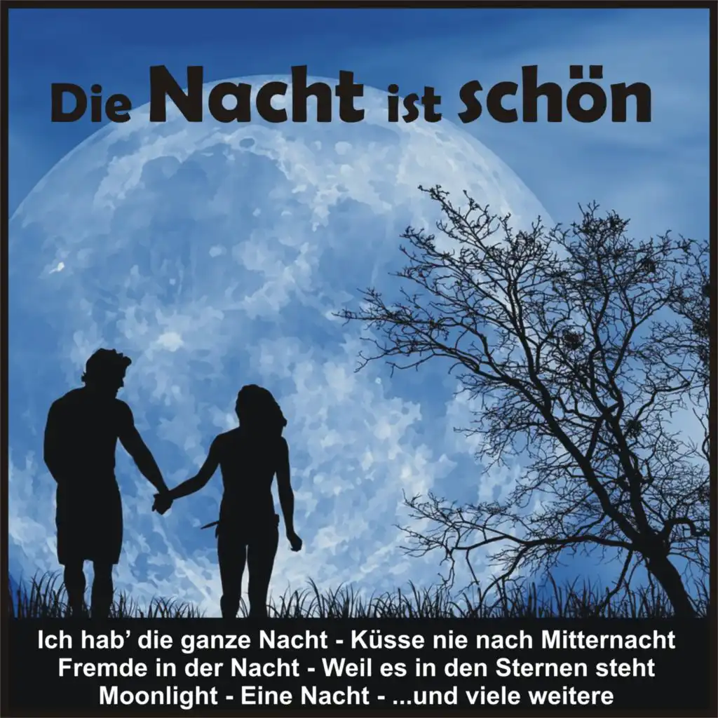 Die Nacht ist schön