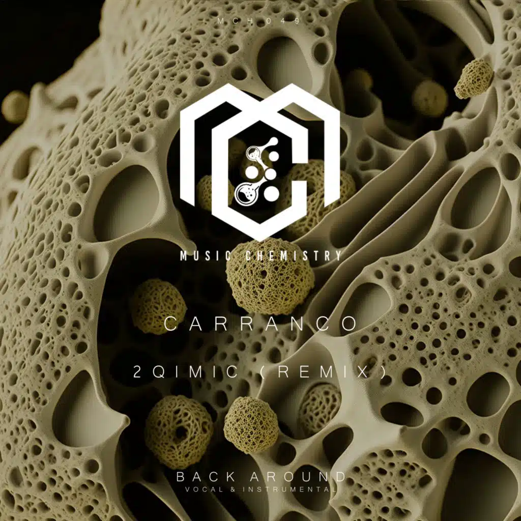 Back Around (2Qimic Remix)