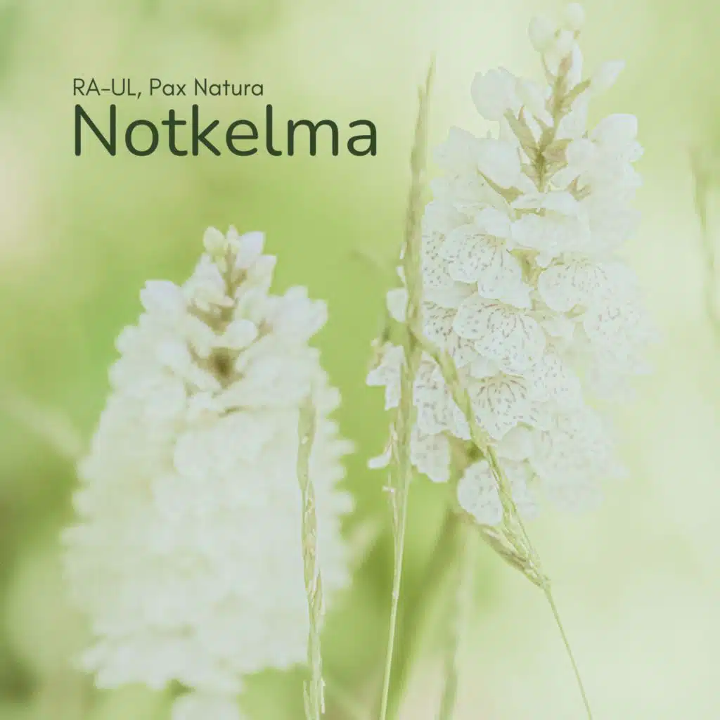 Notkelma (Solo Version)