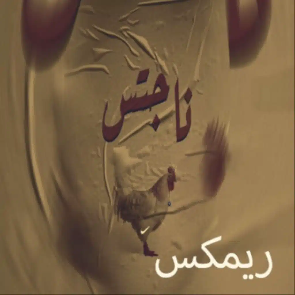 انا المشطشط(ناجتس) ريمكس