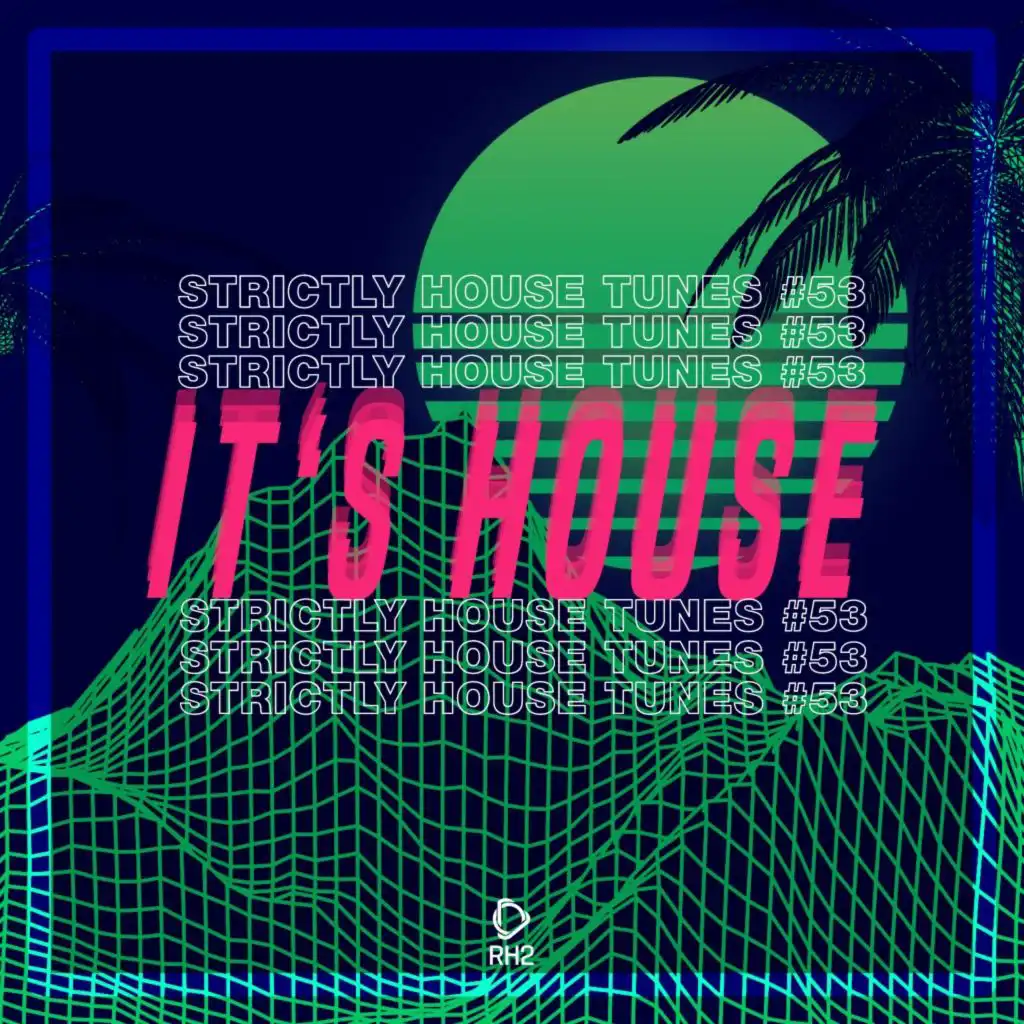 It's House: Strictly House, Vol. 53