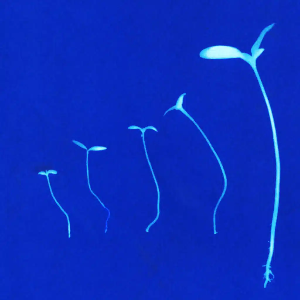 Need to make a change in your life? Behavioral science can help